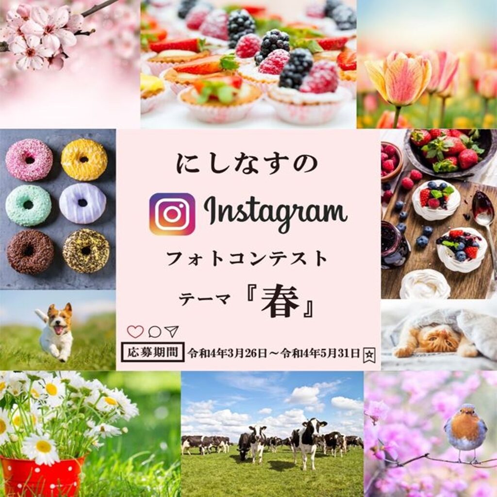 春のフォトコンテストを開催します 春のフォトコンテストを開催します