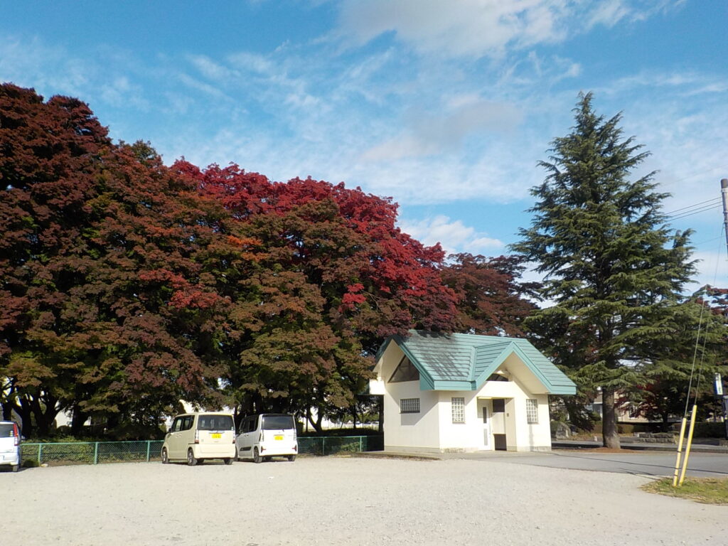 大山参道の紅葉の様子（撮影日R4.11.4）