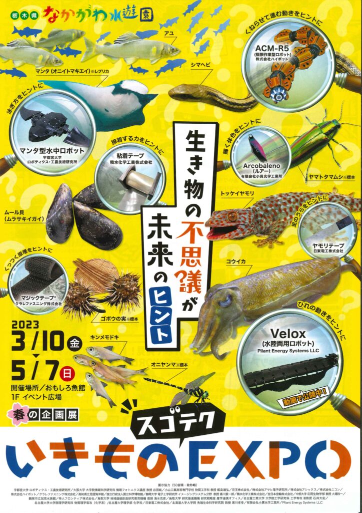 栃木県なかがわ水遊園「いきものスゴテクEXPO～生き物の不思議が未来のヒント～」