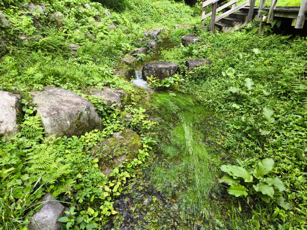 西遅沢（おそざわ）の出釜（でがま）湧水地（令和6年9月17日撮影）