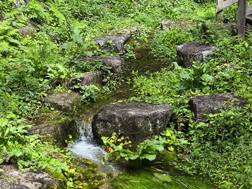 西遅沢（おそざわ）の出釜（でがま）湧水地（令和6年9月17日撮影）