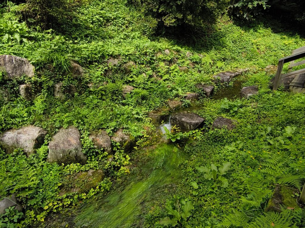 西遅沢（おそざわ）の出釜（でがま）湧水地（令和6年9月17日撮影）