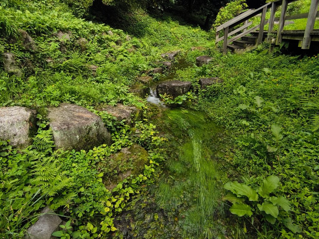 西遅沢（おそざわ）の出釜（でがま）湧水地（令和6年9月17日撮影）