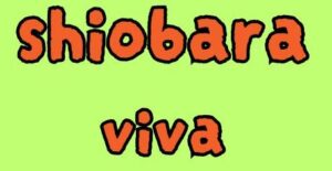 shiobara viva　イベント情報！