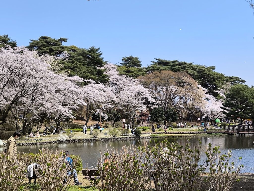 なすの開墾まつり