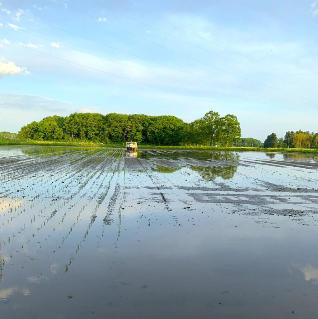 shiobara vivaよりお知らせ