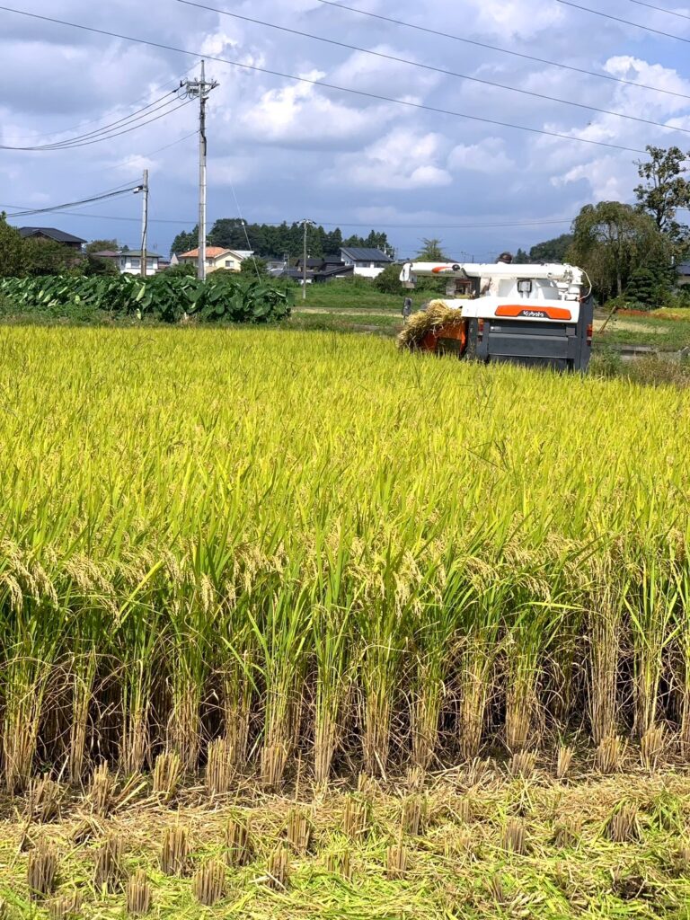 shiobara vivaよりお知らせ