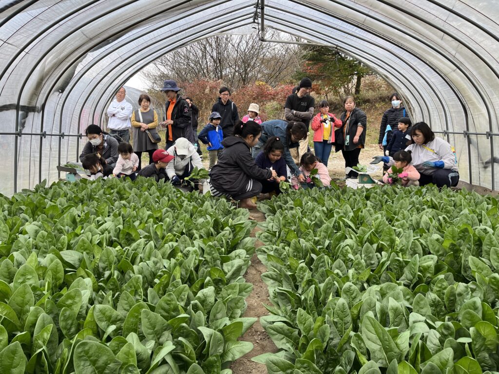 shiobara viva